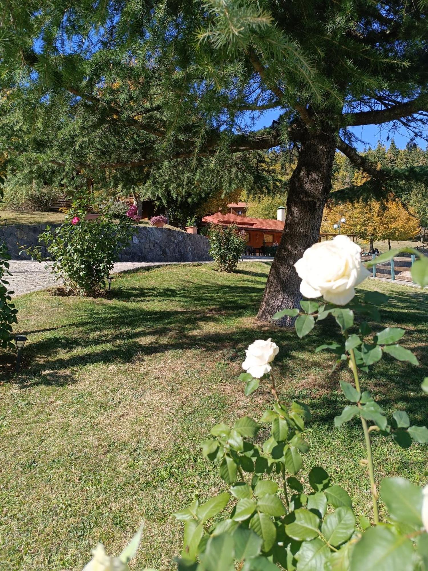 Livadaki Village Megali Kapsi Bagian luar foto