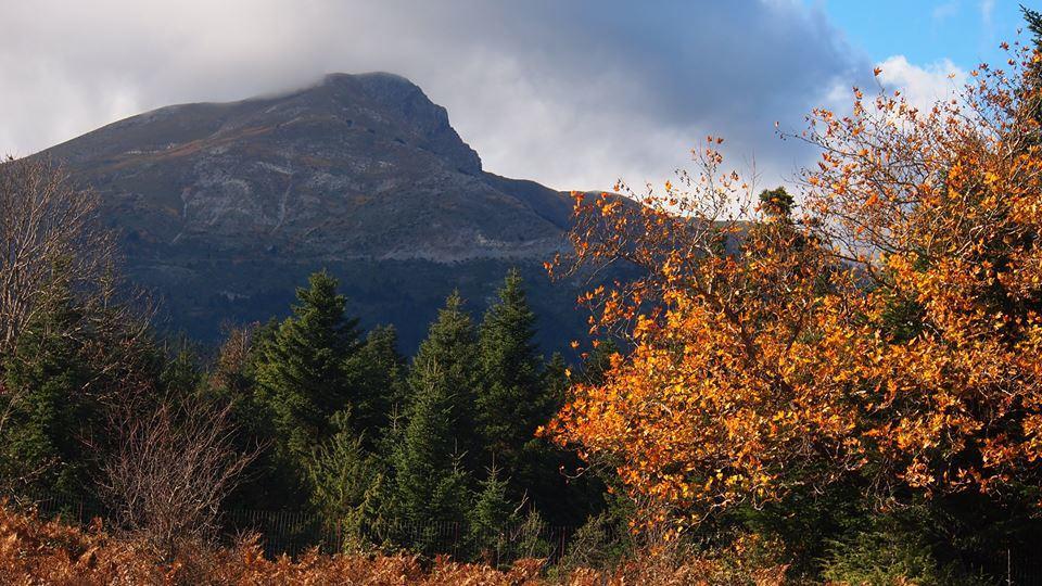 Livadaki Village Megali Kapsi Bagian luar foto
