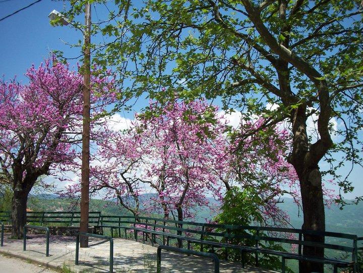 Livadaki Village Megali Kapsi Bagian luar foto