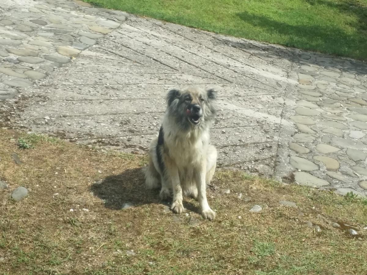 Livadaki Village Megali Kapsi Bagian luar foto